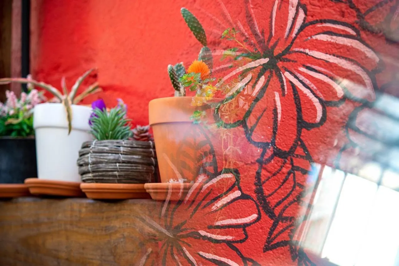 Tapia Haus 103 - Beach Vibes Within Walking Distance San Juan